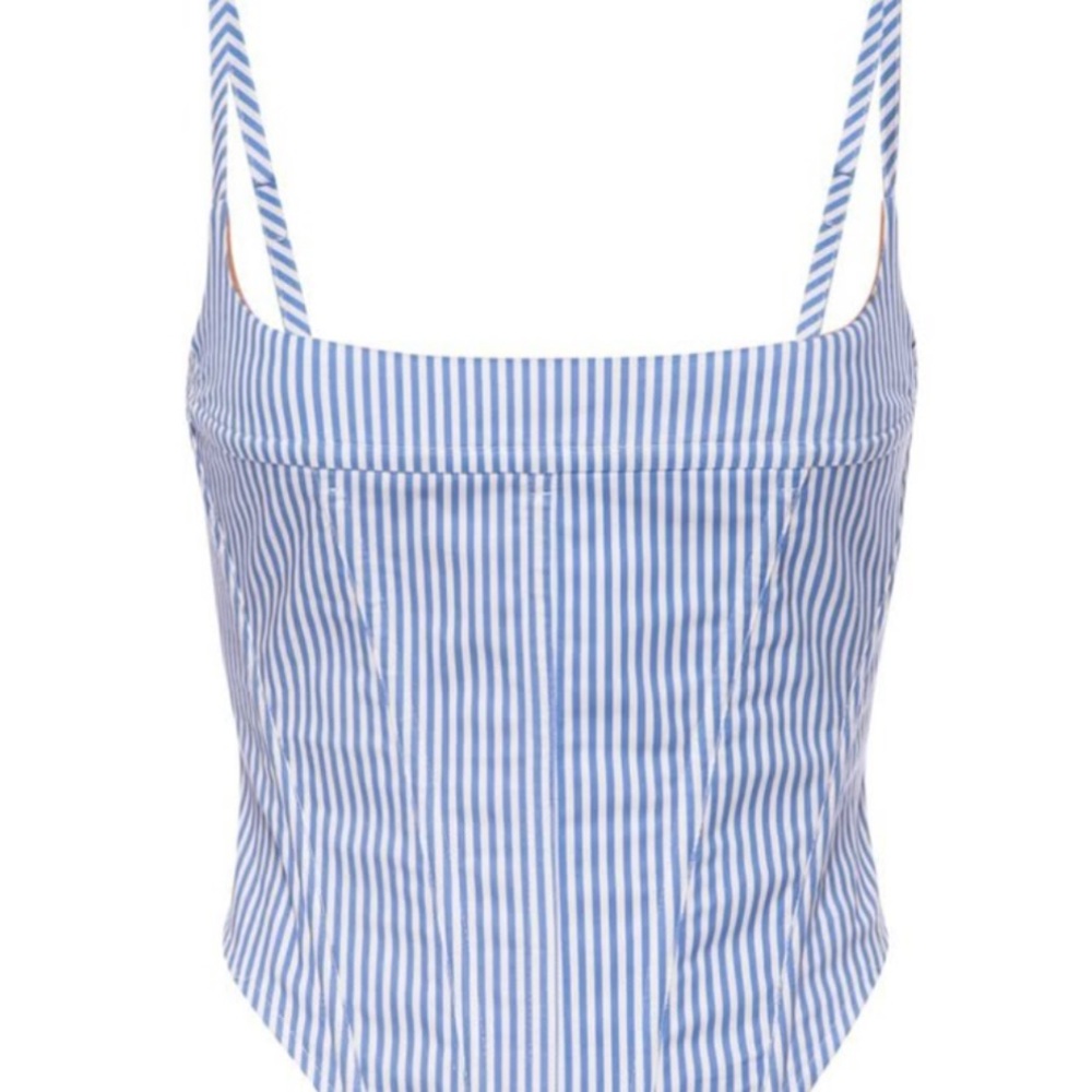 Miaou x Paloma Elsesser V corset top